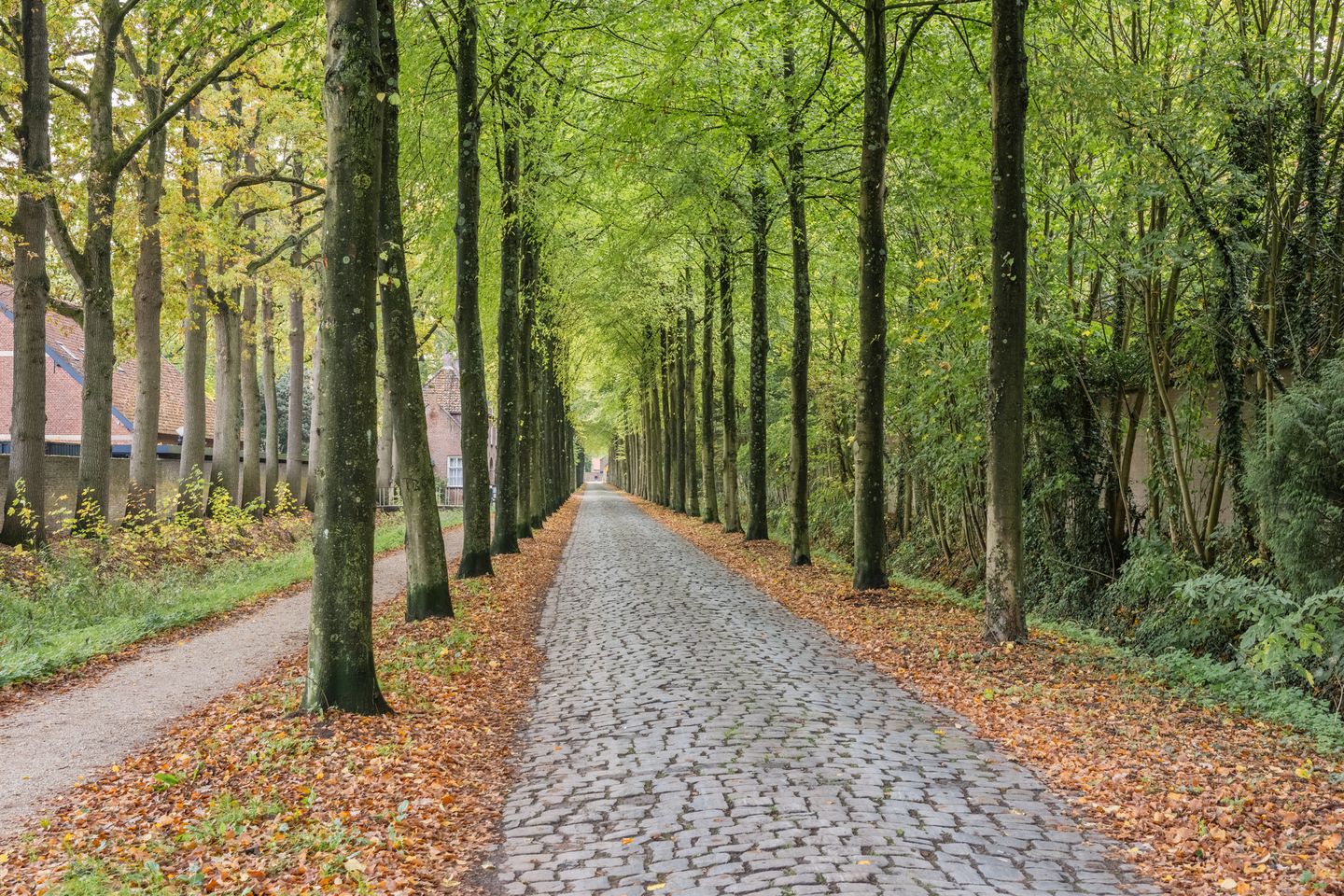 Foto 40 van Zandheuvel 107