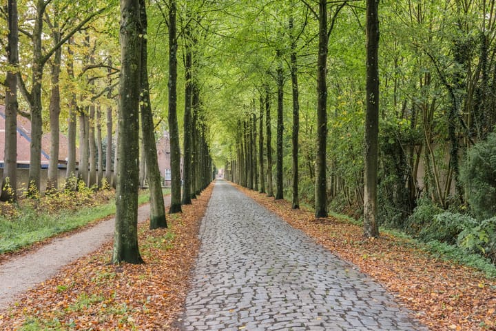 Foto 40 van Zandheuvel 107