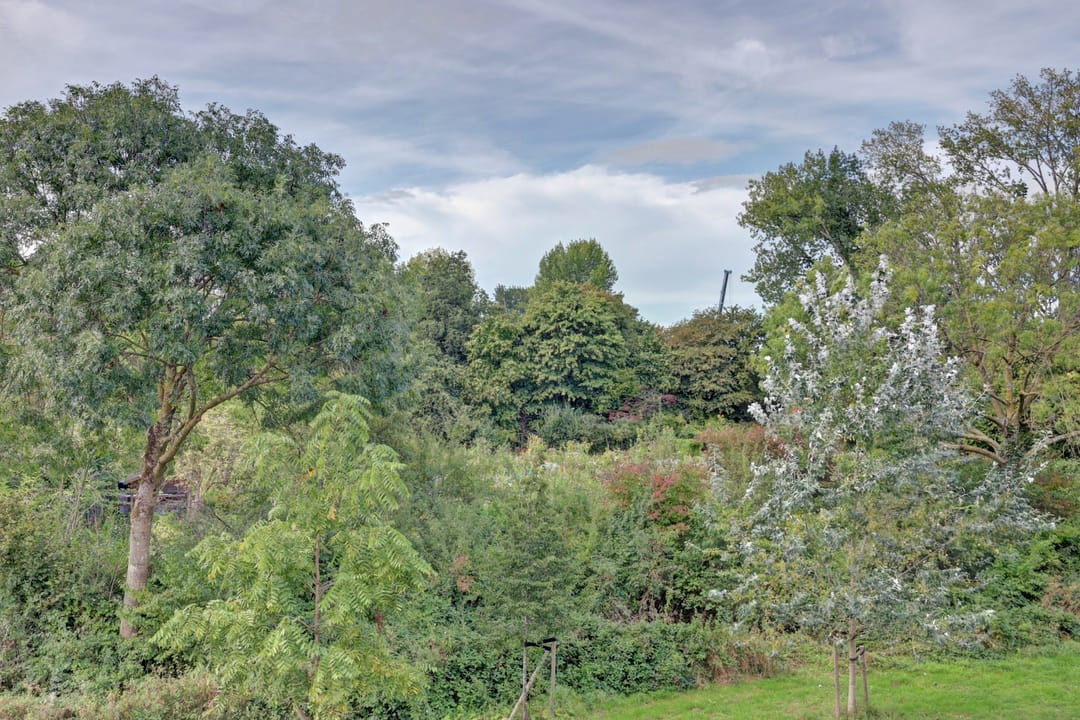 Foto 23 van Willem van Boelrestraat 11