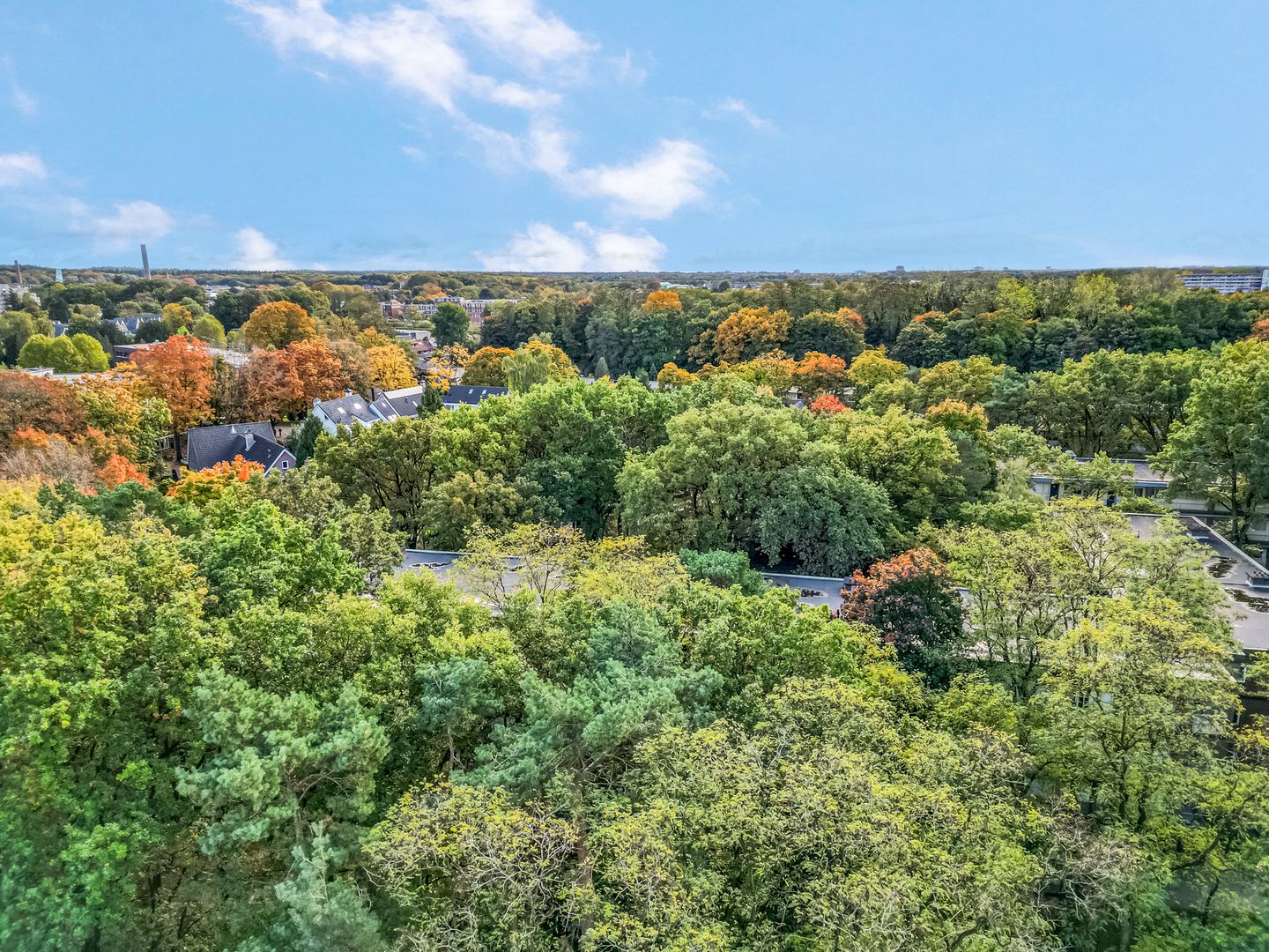 Photo 50 of Juliana van Stolberglaan 21