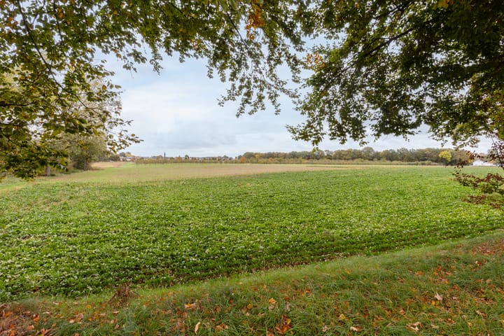 Photo 4 of Havenweg 4