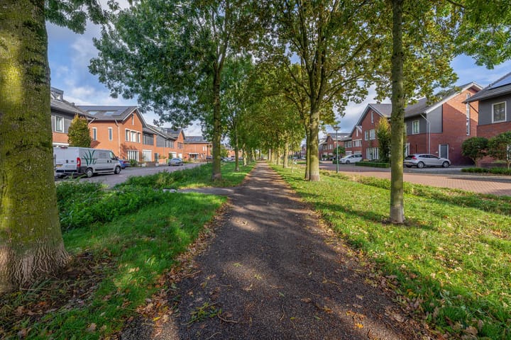 Foto 35 van Vlasven 186