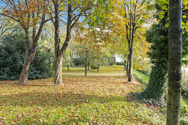 Photo 8 of Nummer 19