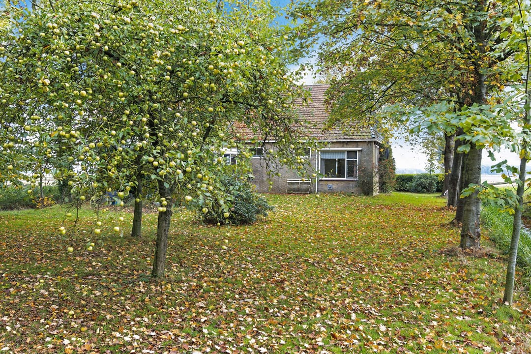 Foto 11 van Nummer 19