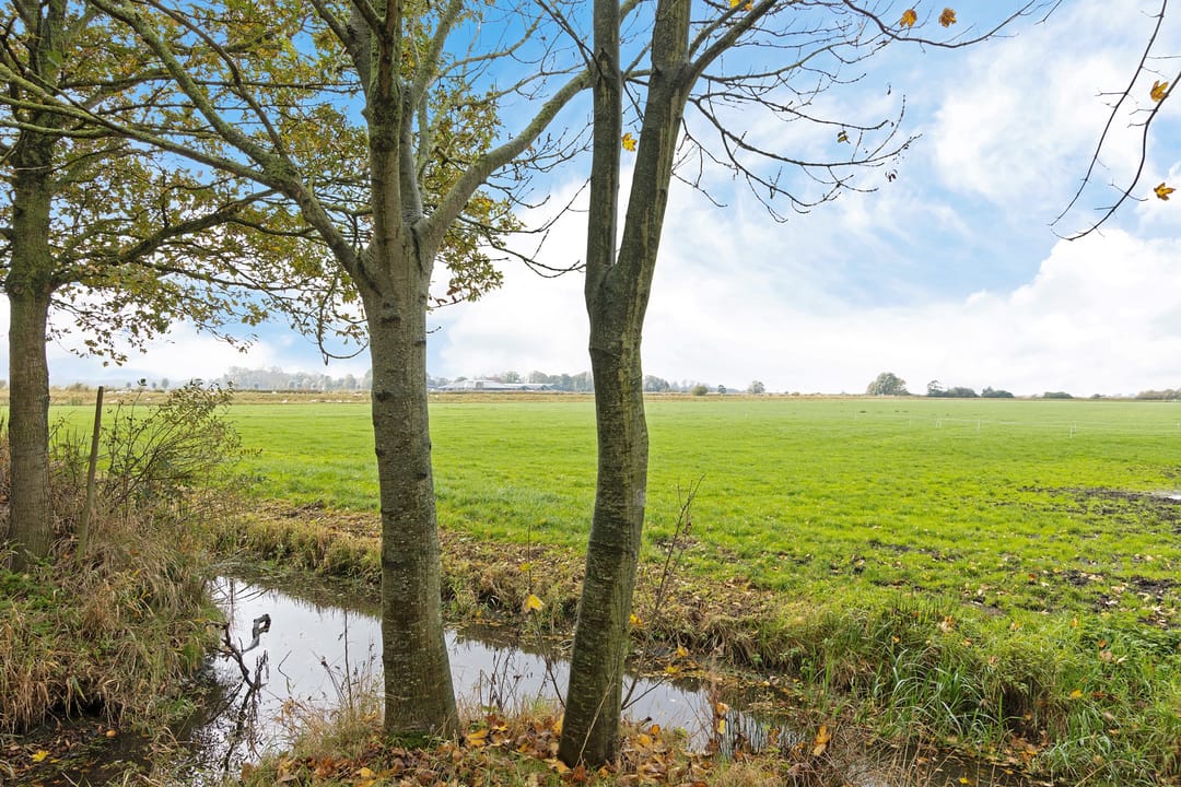 Foto 13 van Nummer 19