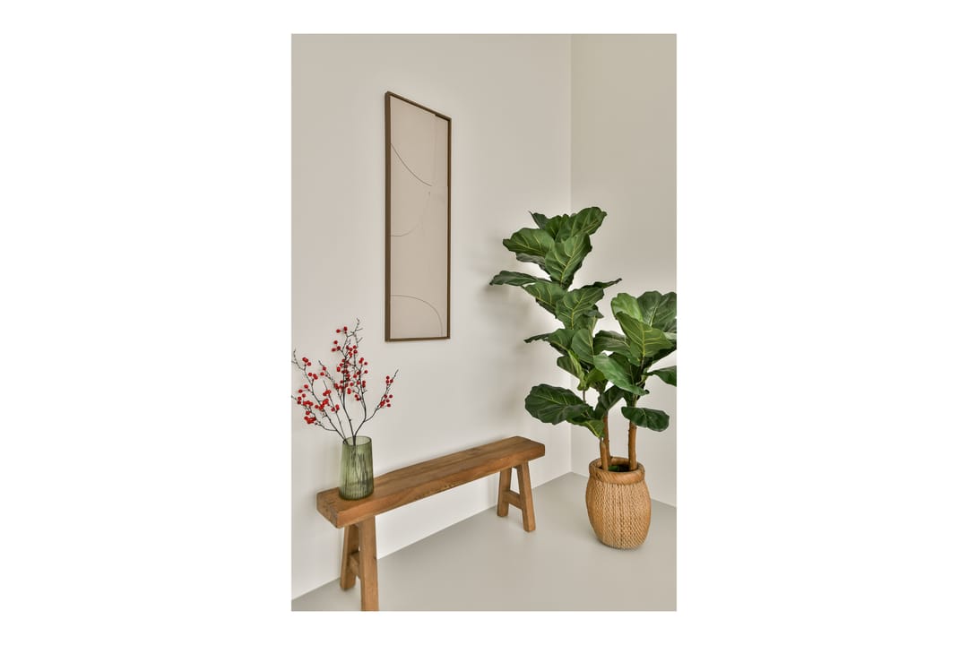 Photo 13 of Maria Austriastraat 101