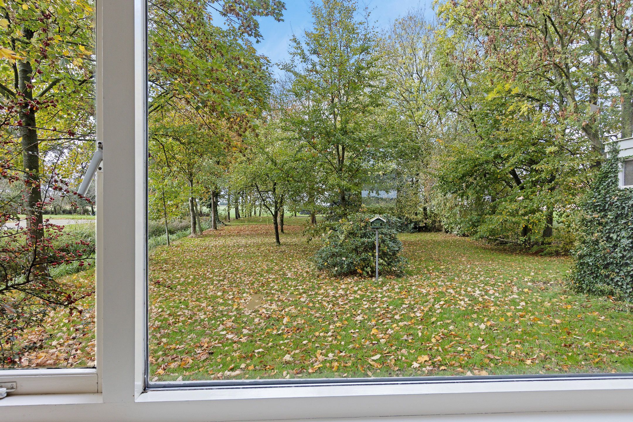 Foto 33 van Nummer 19