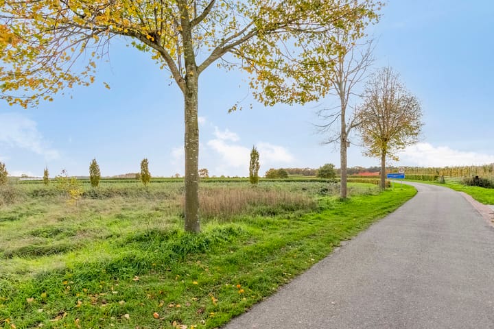 Foto 40 van Toon Reijndersstraat 19