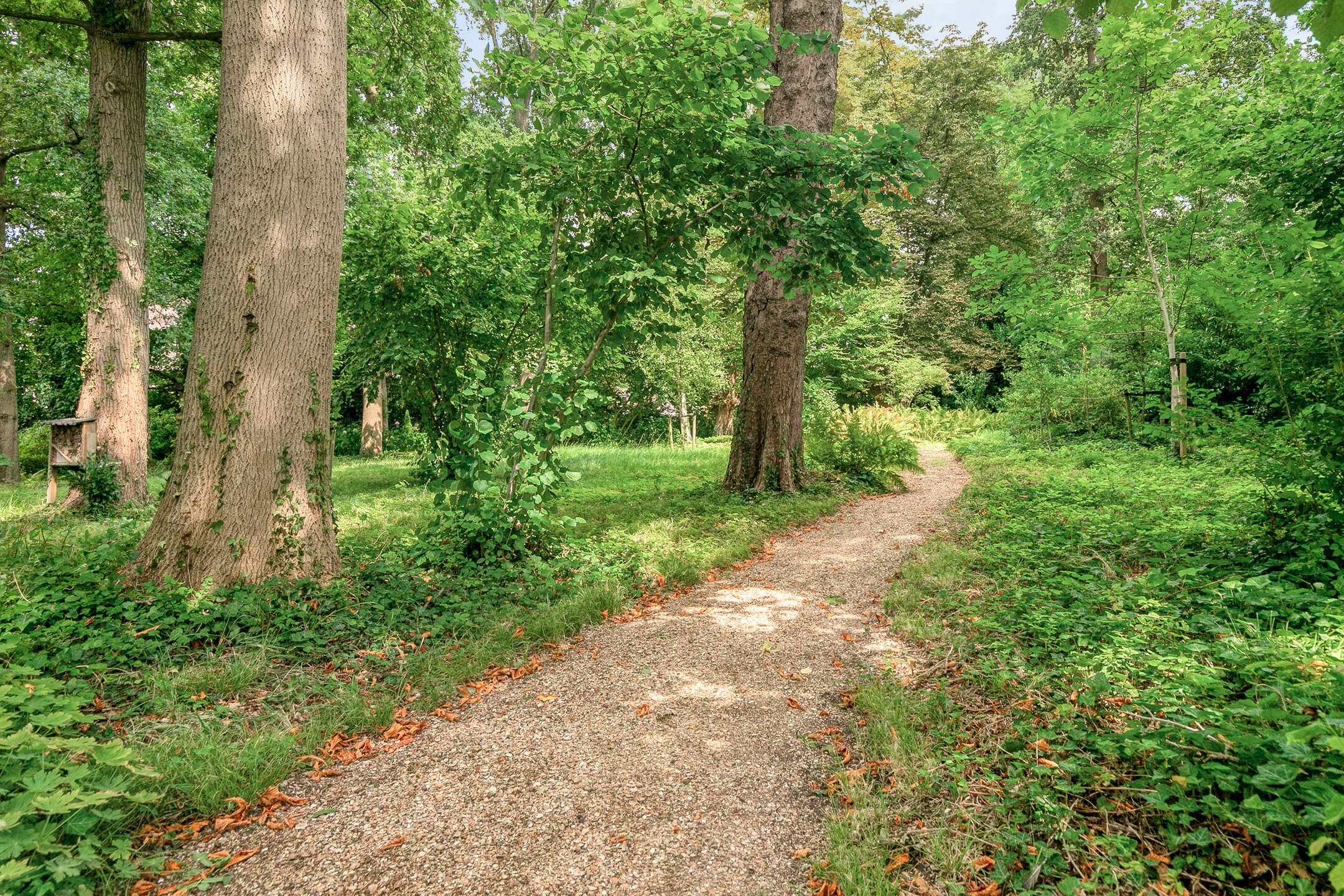 Foto 30 van Mariaplein 4