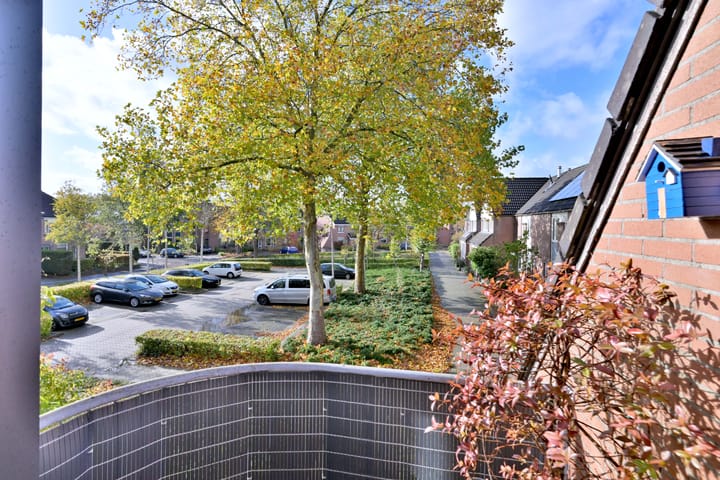 Foto 11 van Koperwiek 7