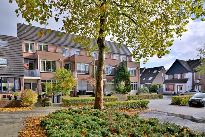 Foto 45 van Koperwiek 7