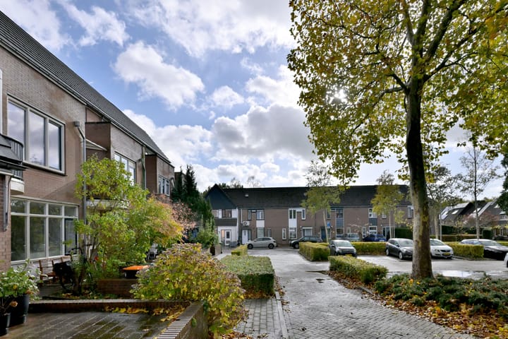 Foto 46 van Koperwiek 7