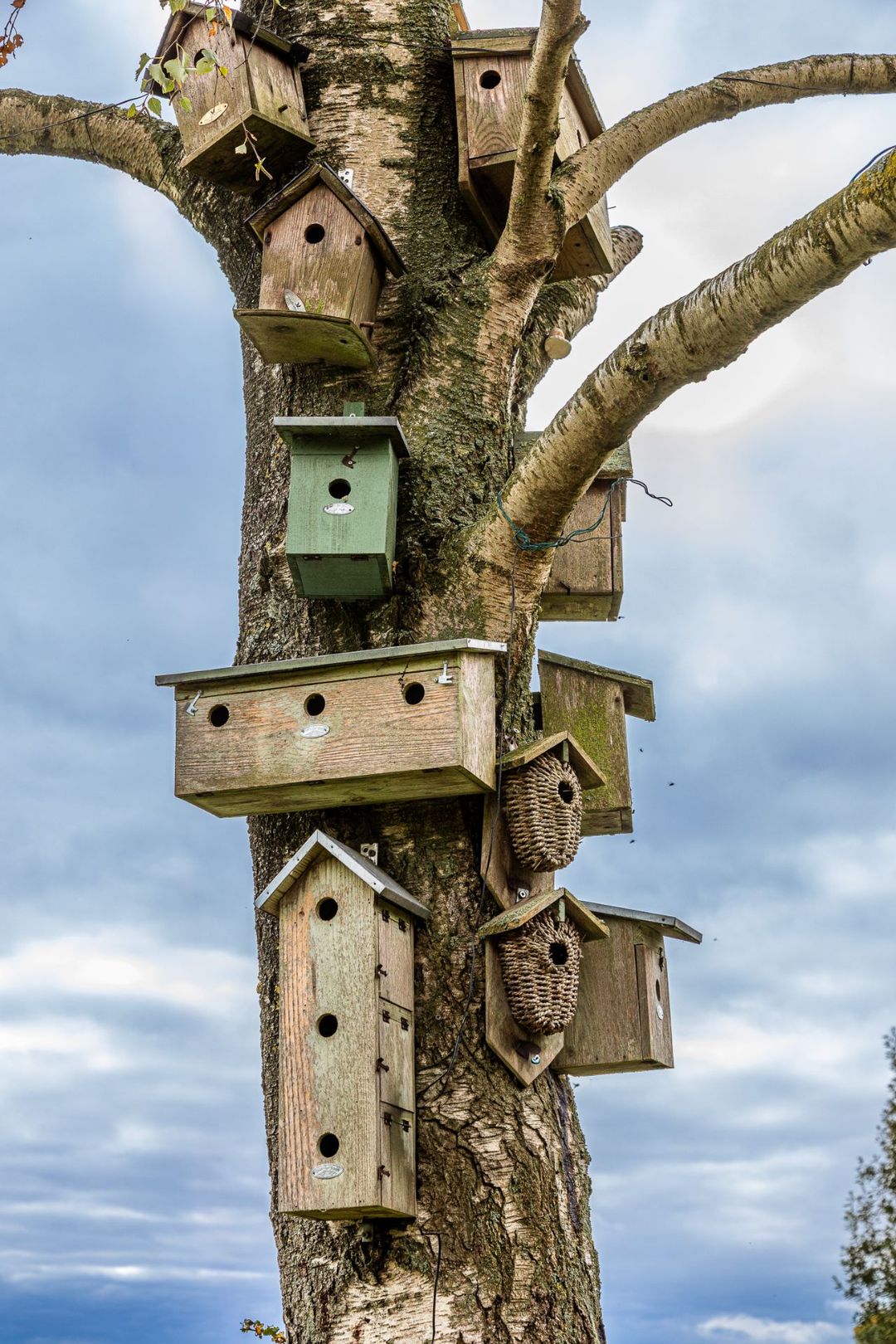 Foto 26 van Achterdijk 18