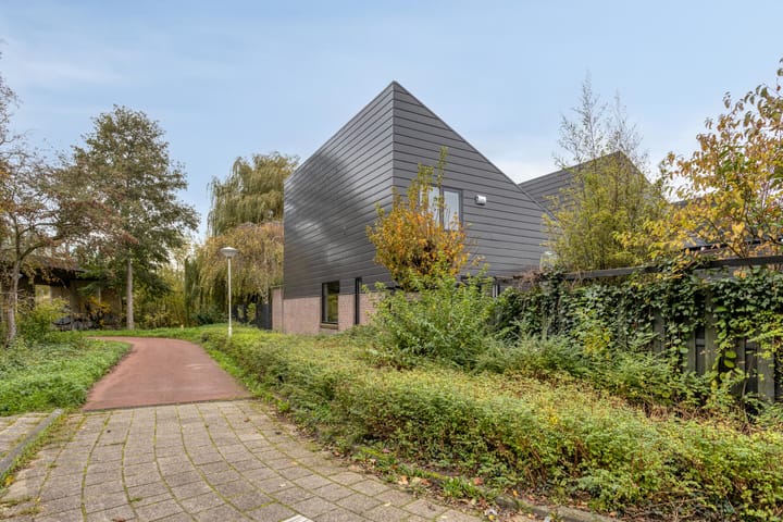 Foto 49 van Palestrinarode 46