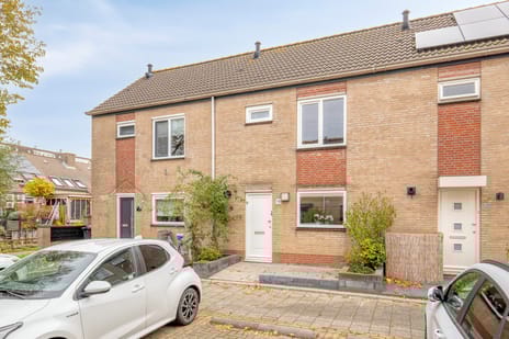 undefined main image