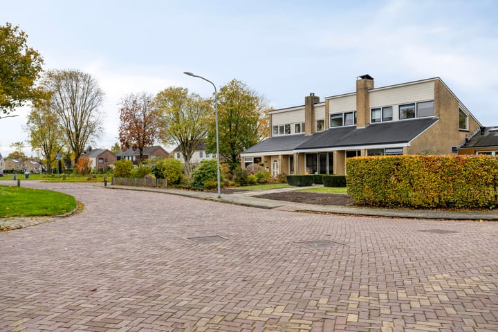 Foto 73 van de Hop 4