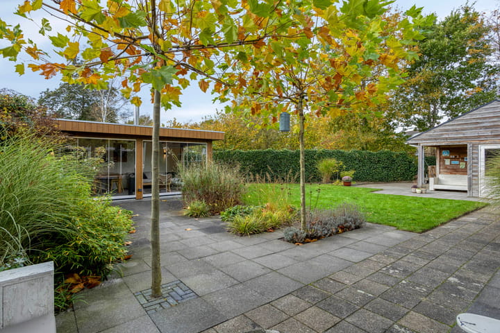 Foto 50 van de Hop 4