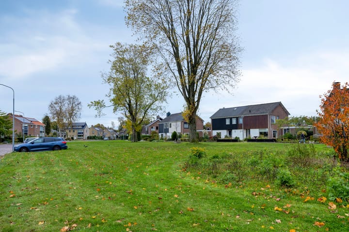 Foto 79 van de Hop 4