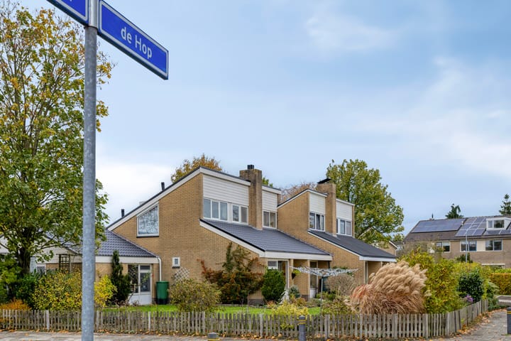 Foto 77 van de Hop 4