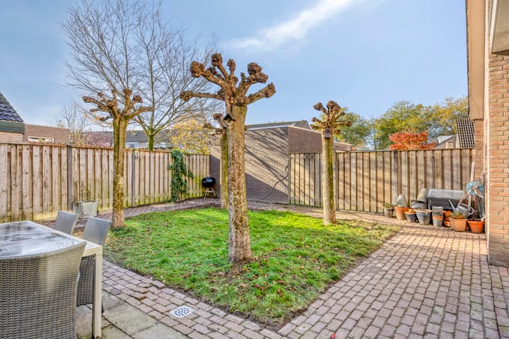 Foto 5 van de Korenaar 21