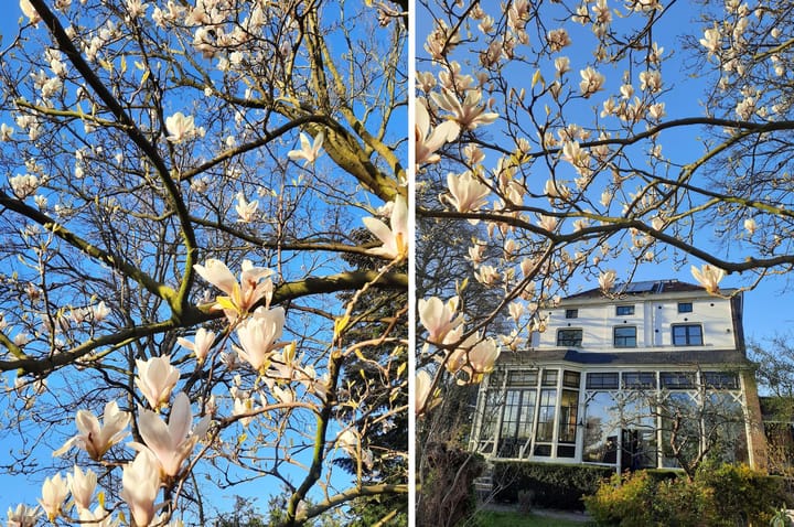 Foto 40 van Zesstedenweg 187