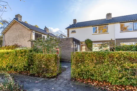 undefined main image