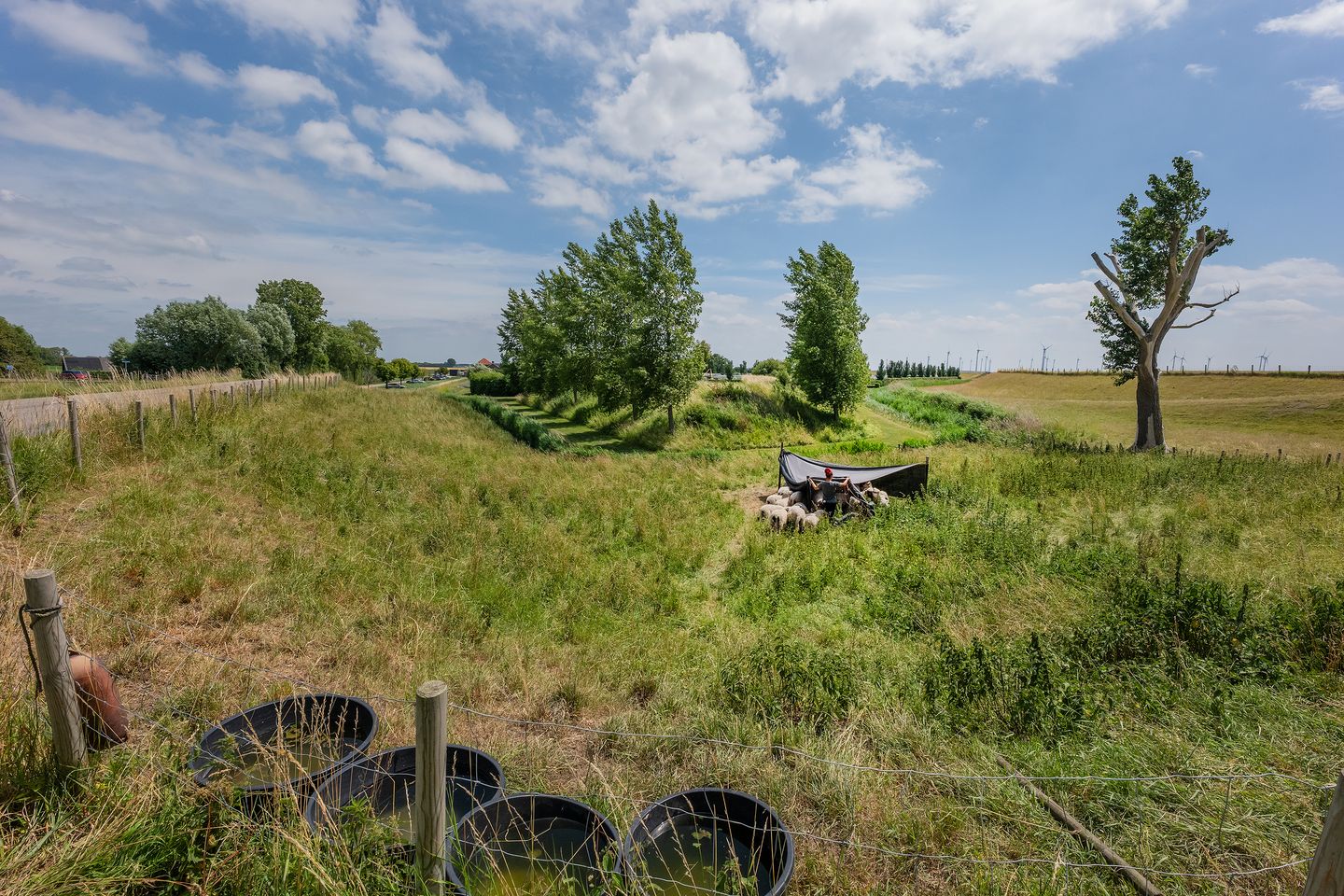 Foto 49 van Polder Klinkerland 1