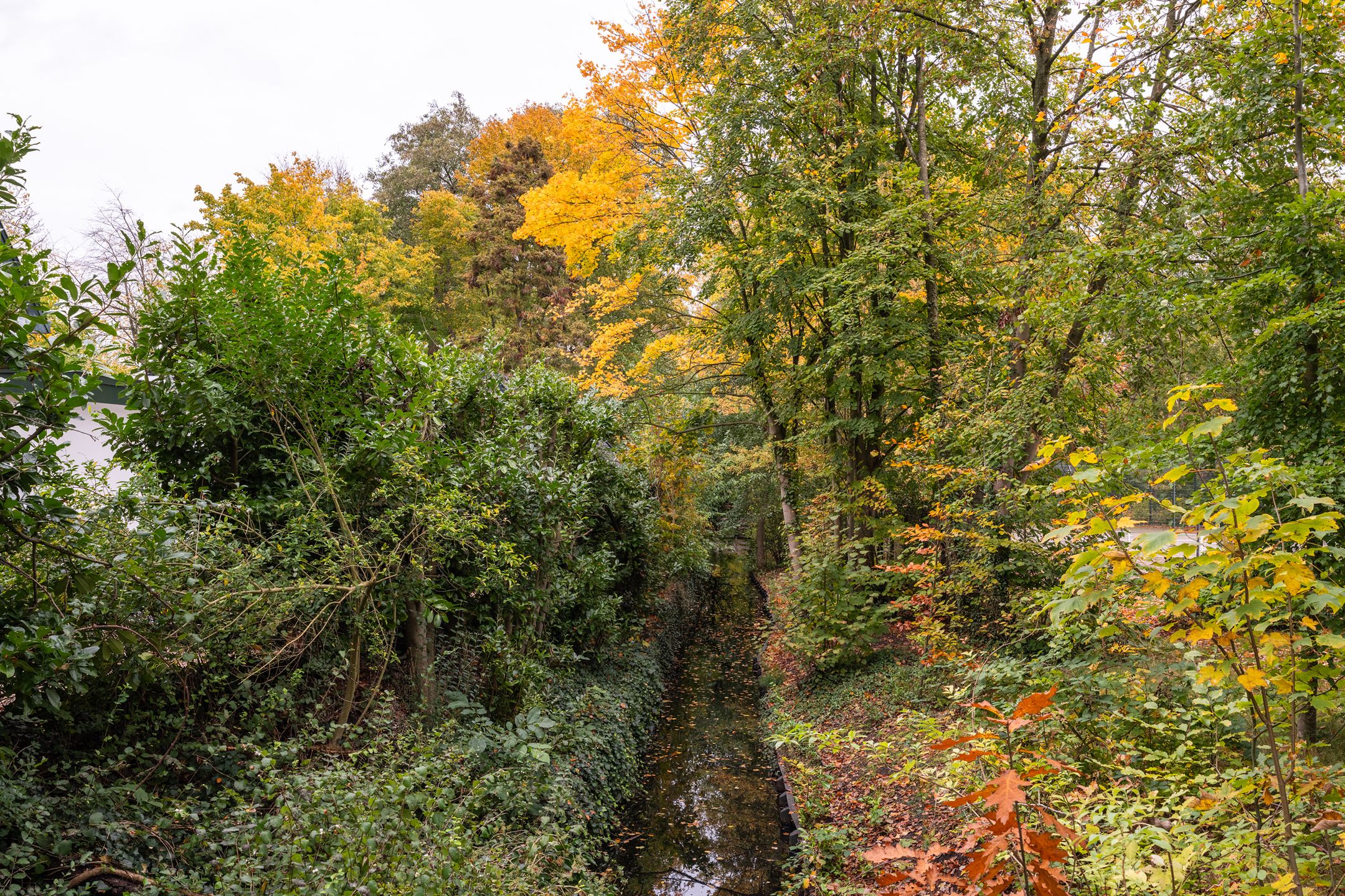 Foto 36 van Crosestein 1503