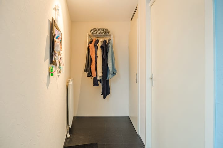 Photo 6 of Kokardebloem 36