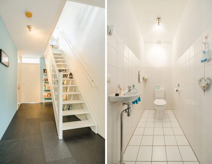 Photo 8 of Kokardebloem 36