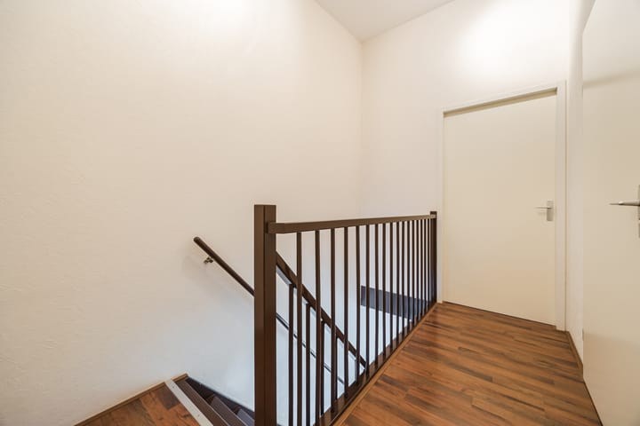 Photo 16 of Kokardebloem 36