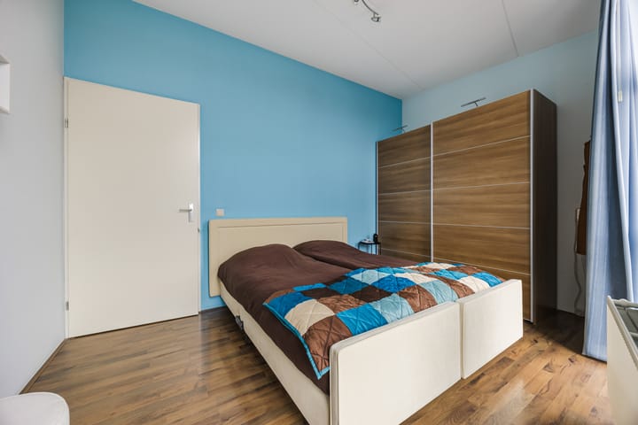 Photo 18 of Kokardebloem 36