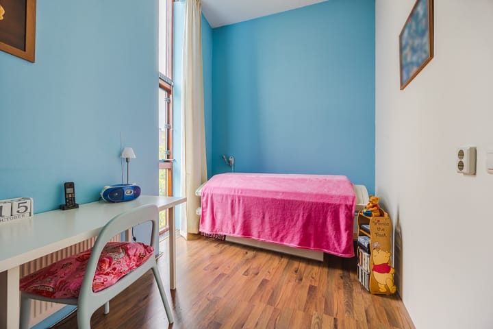 Photo 20 of Kokardebloem 36