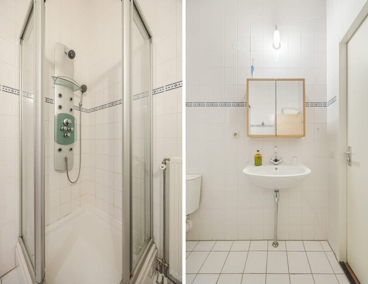 Photo 23 of Kokardebloem 36