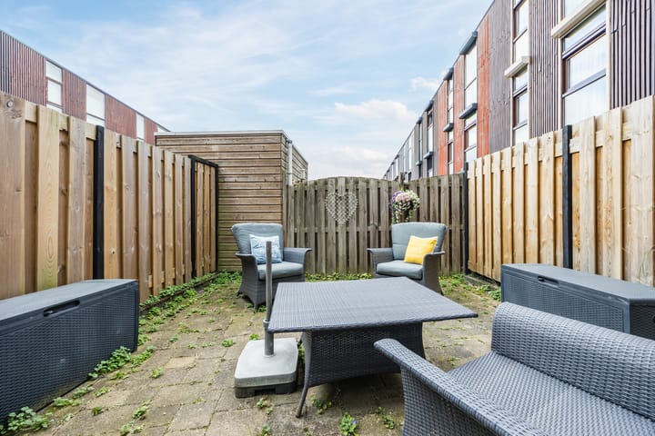 Photo 24 of Kokardebloem 36