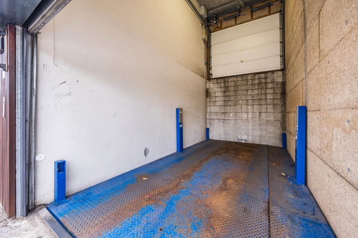 Photo 28 of Kokardebloem 36