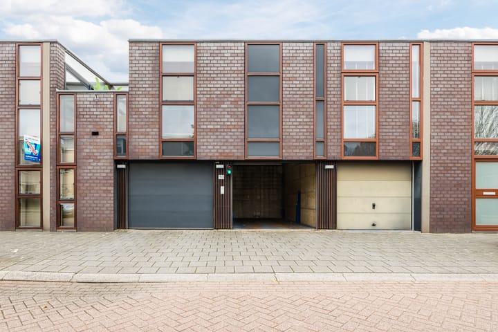 Photo 29 of Kokardebloem 36