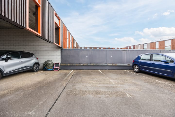 Photo 31 of Kokardebloem 36