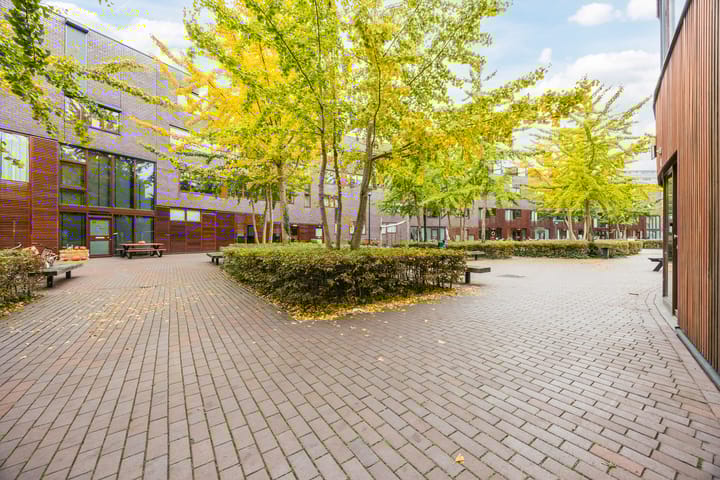 Photo 33 of Kokardebloem 36