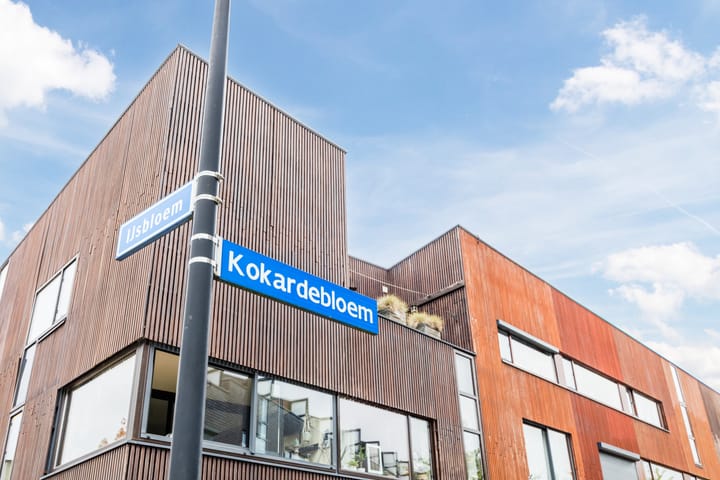 Photo 34 of Kokardebloem 36