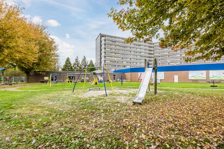 Photo 36 of Kokardebloem 36