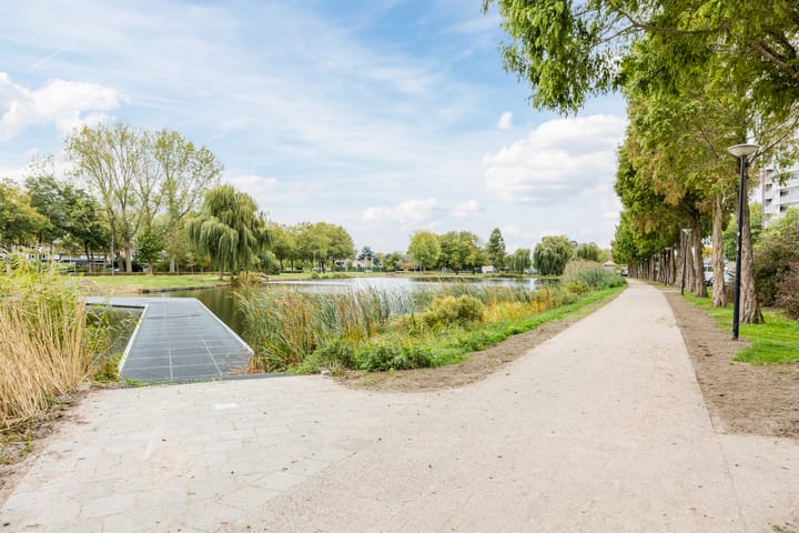 Photo 37 of Kokardebloem 36