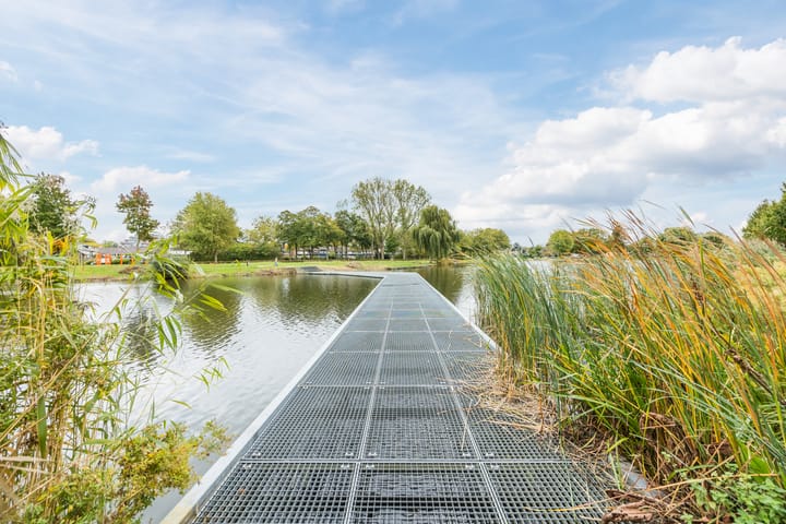 Photo 38 of Kokardebloem 36