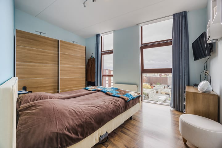 Photo 17 of Kokardebloem 36