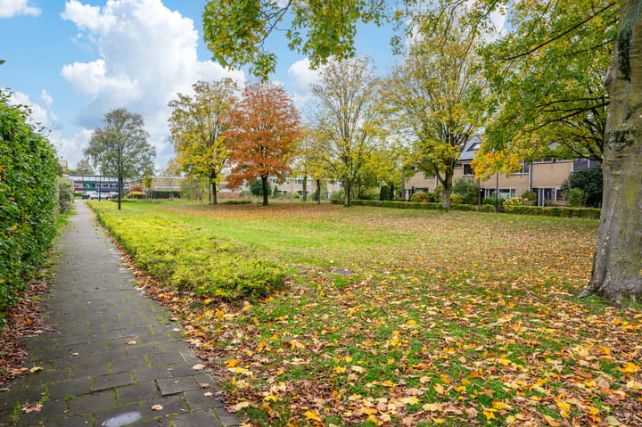 Foto 32 van Schopenhauerstraat 52