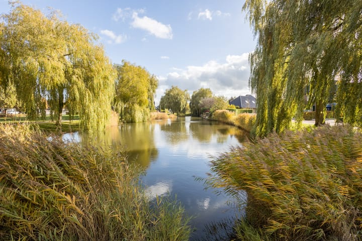 Foto 66 van De Wemekamp 8