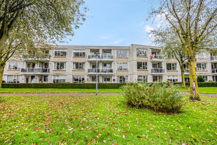 Foto 5 van Rozenstraat 101