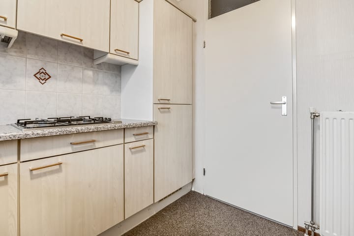 Foto 29 van Rozenstraat 101