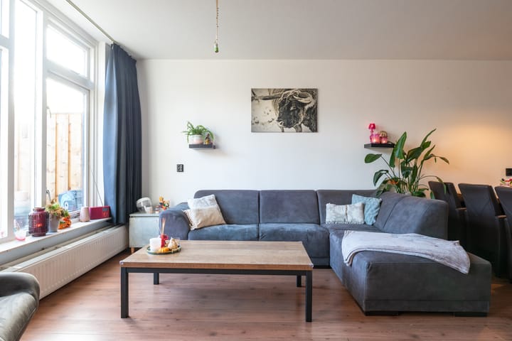 Foto 7 van Boswachtersveld 335