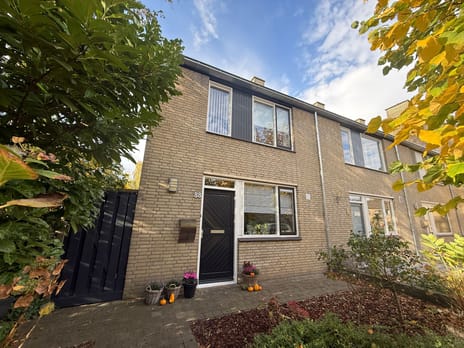 undefined main image